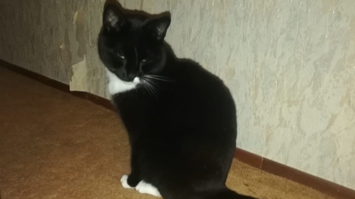 *SPOED* Macy