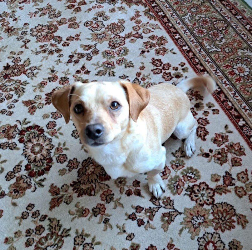 Horatio
