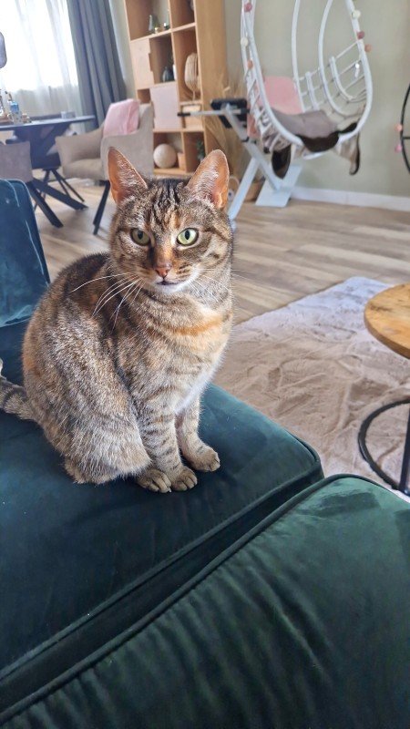 Lilly
