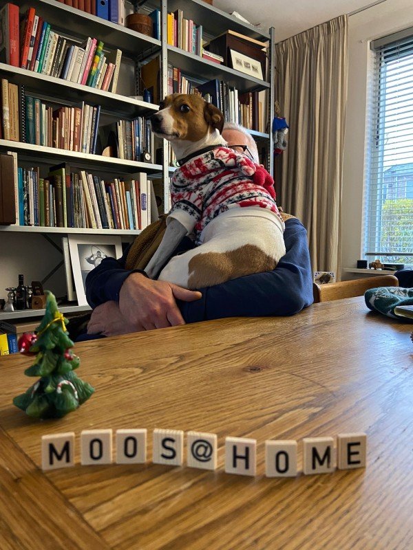 Moos