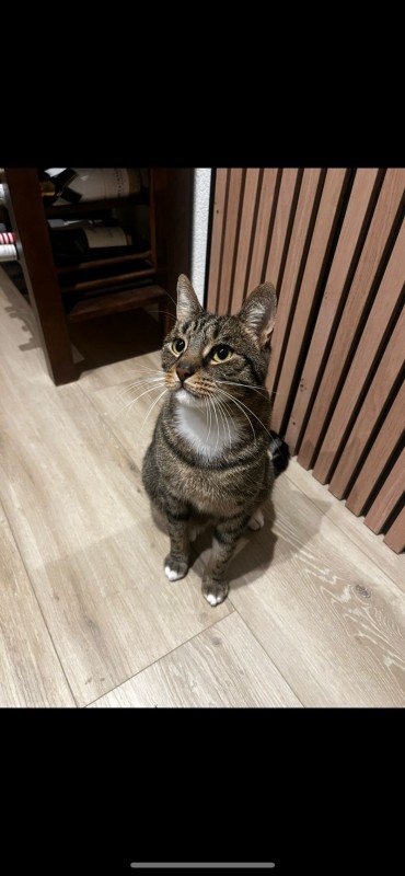 Theodore (Ted)