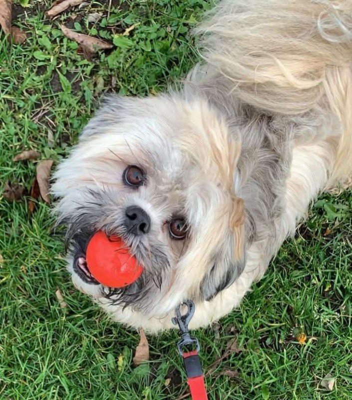 Marley