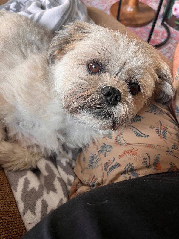 Marley