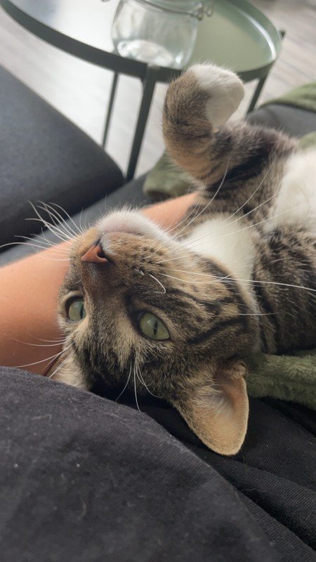 Leo