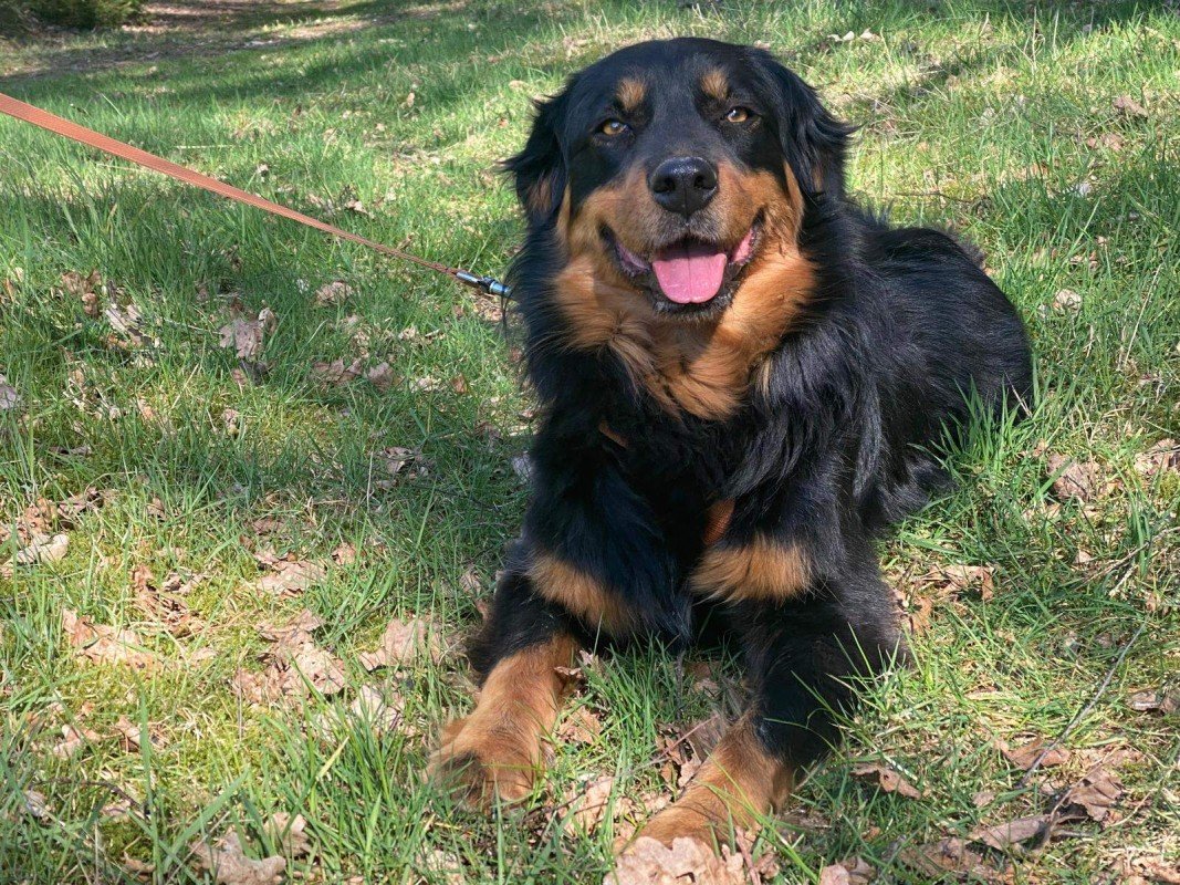 Bella