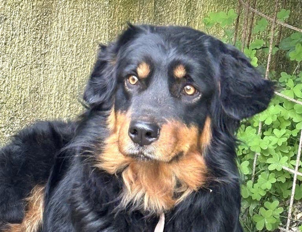 Bella