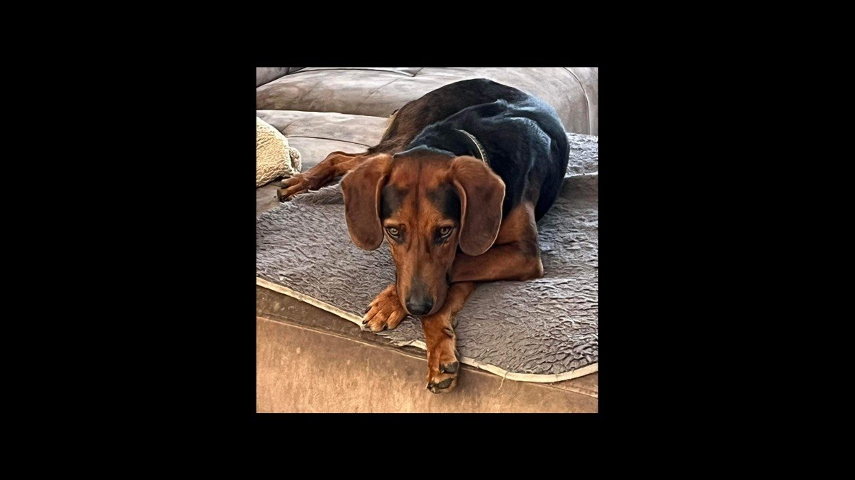 Georgie