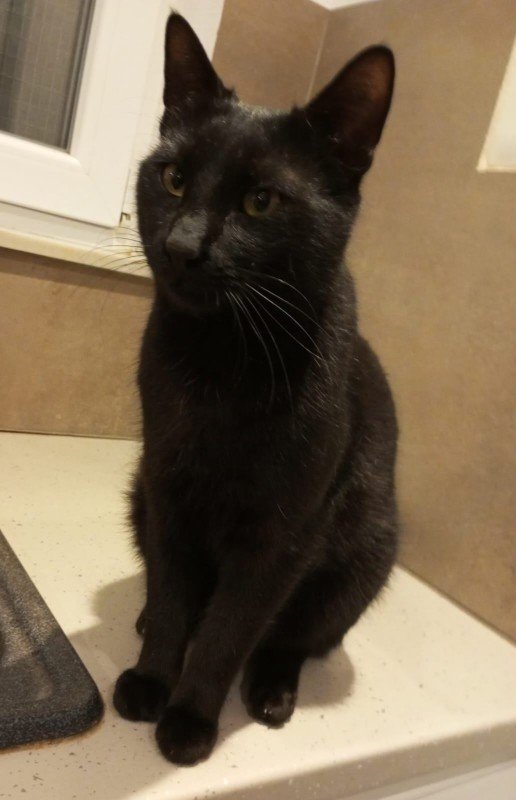 Sonny