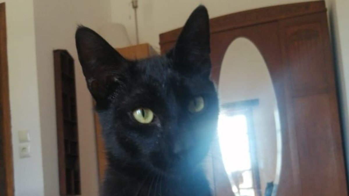 Sonny