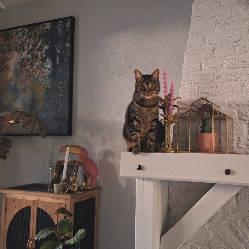 Nora