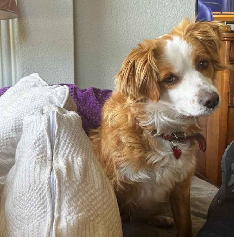 Molly