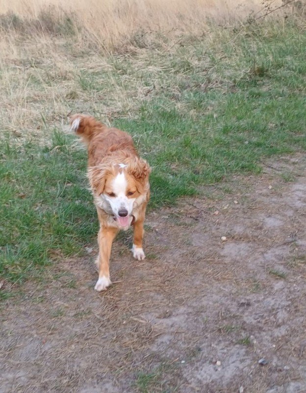 Molly