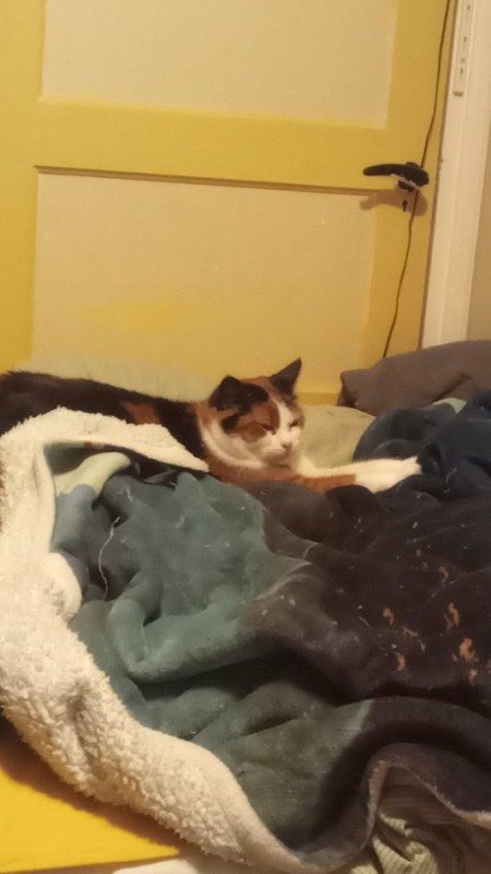 Mimi