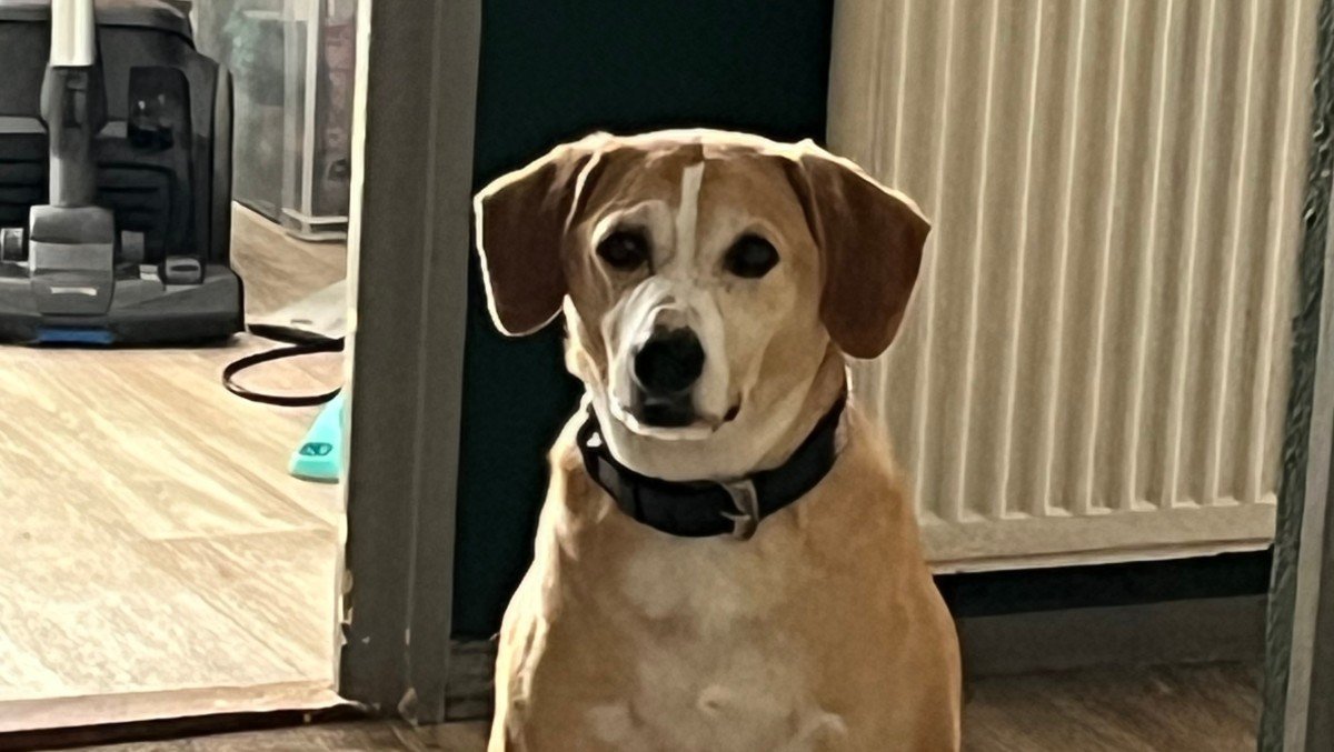 Kasper