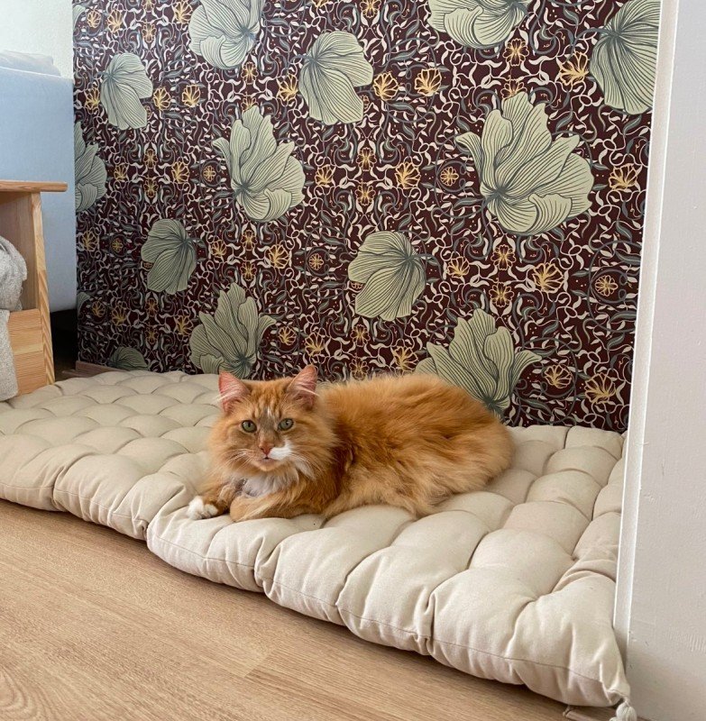 Ginger