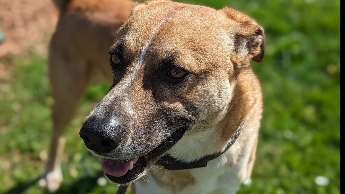 Max