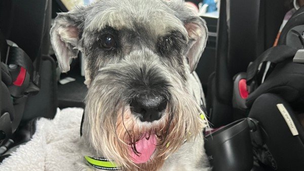 Heidi