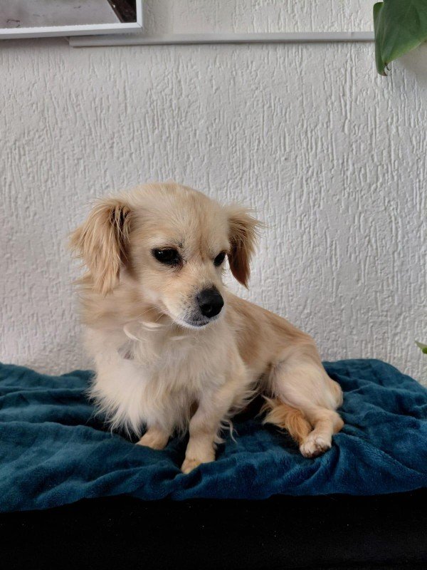 Nina