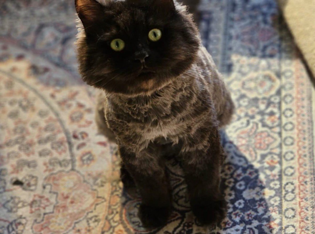 Onyx
