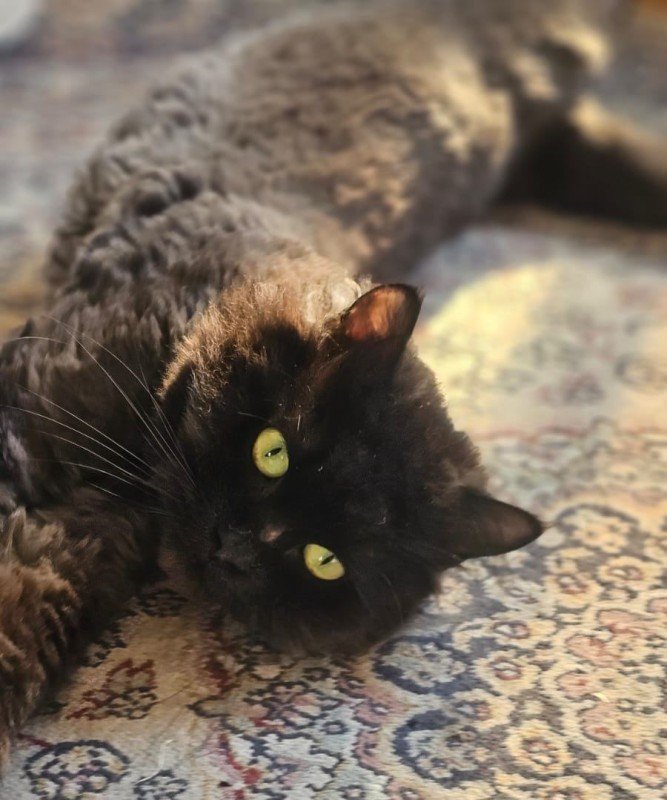 Onyx