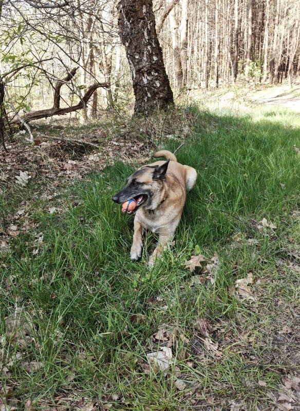 Sam
