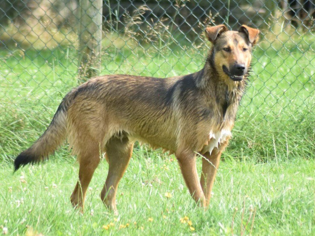 Ragnar