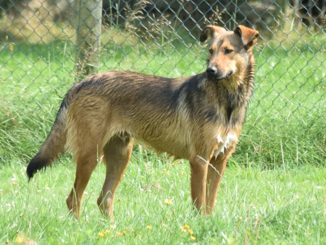 Ragnar