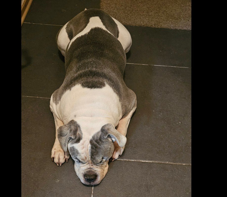 Tyson