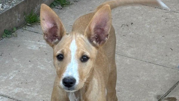 Lilly