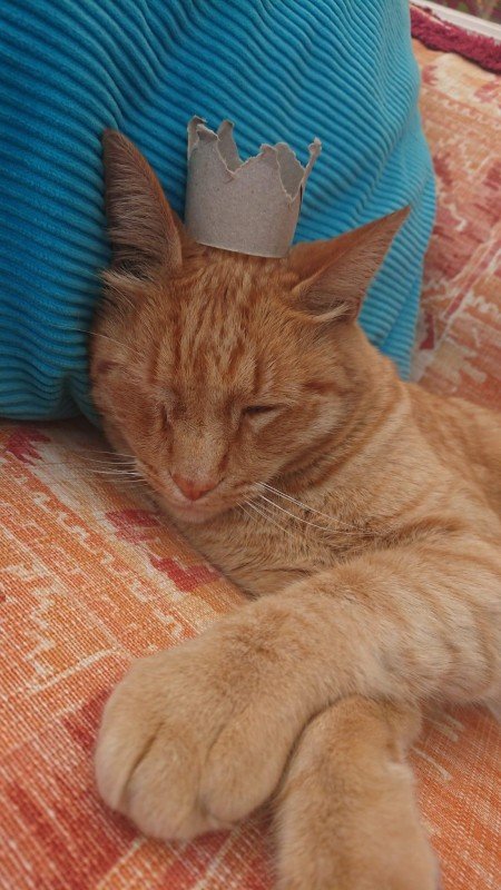 Willem