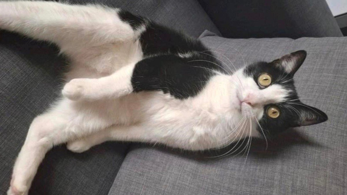 Mimi