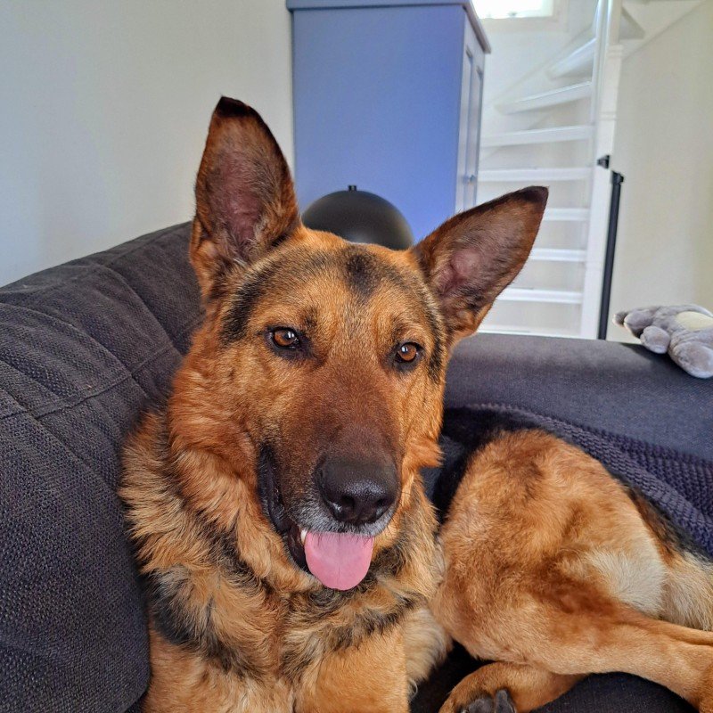 Max