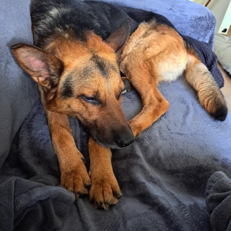 Max