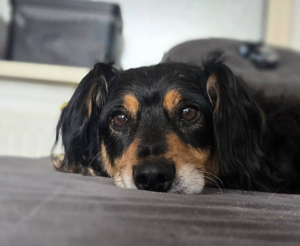 Benson