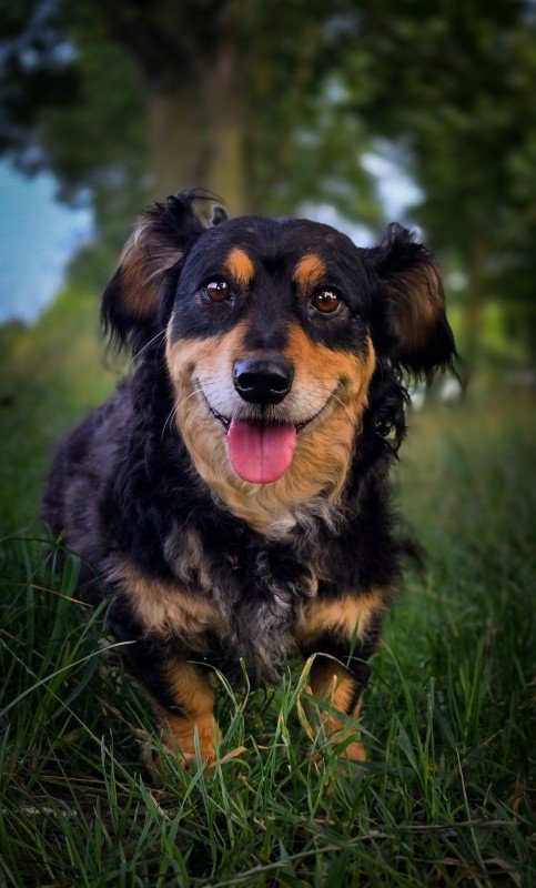 Benson
