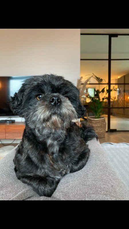 Bo