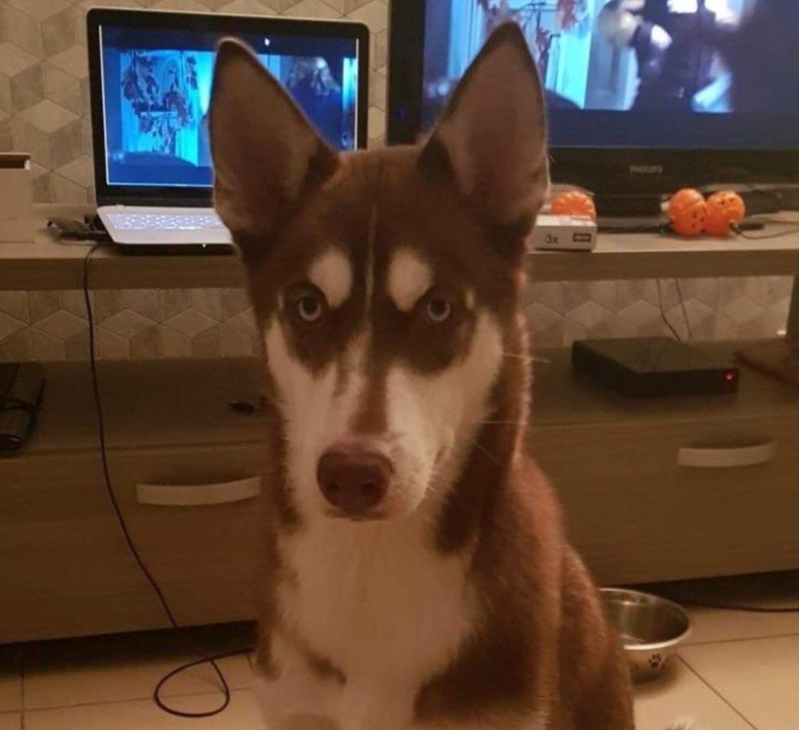 Max
