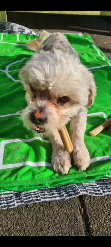 Bennie