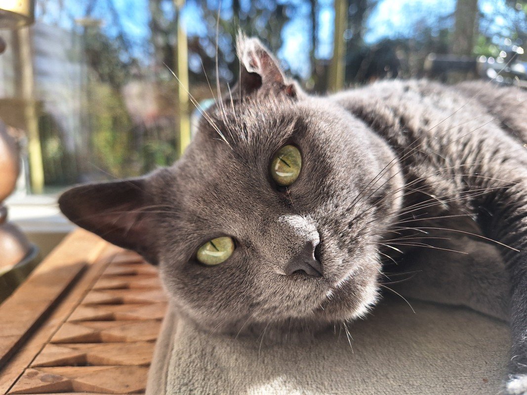 Lumi