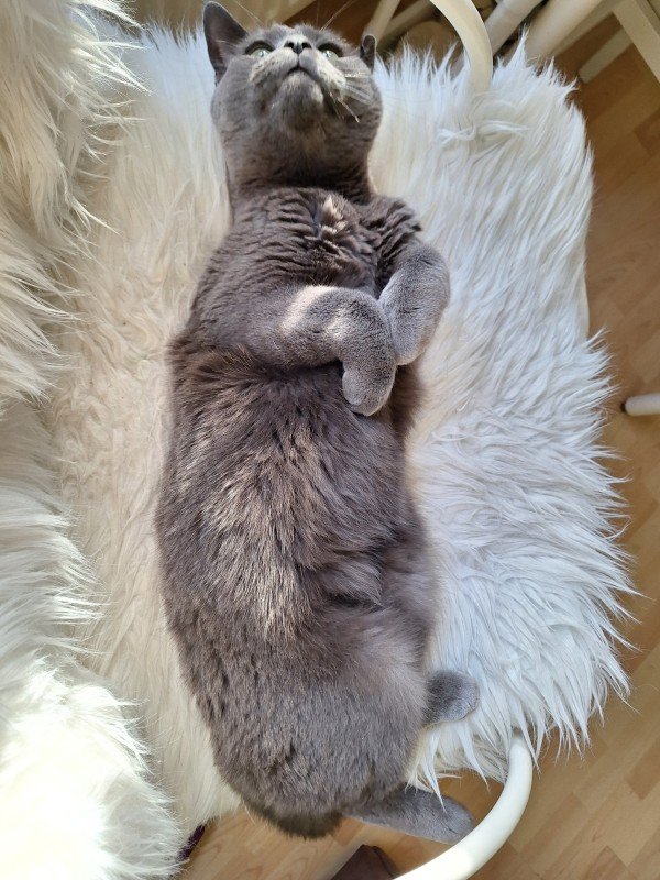 Lumi
