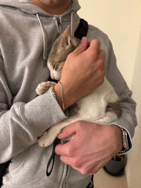 Bunny