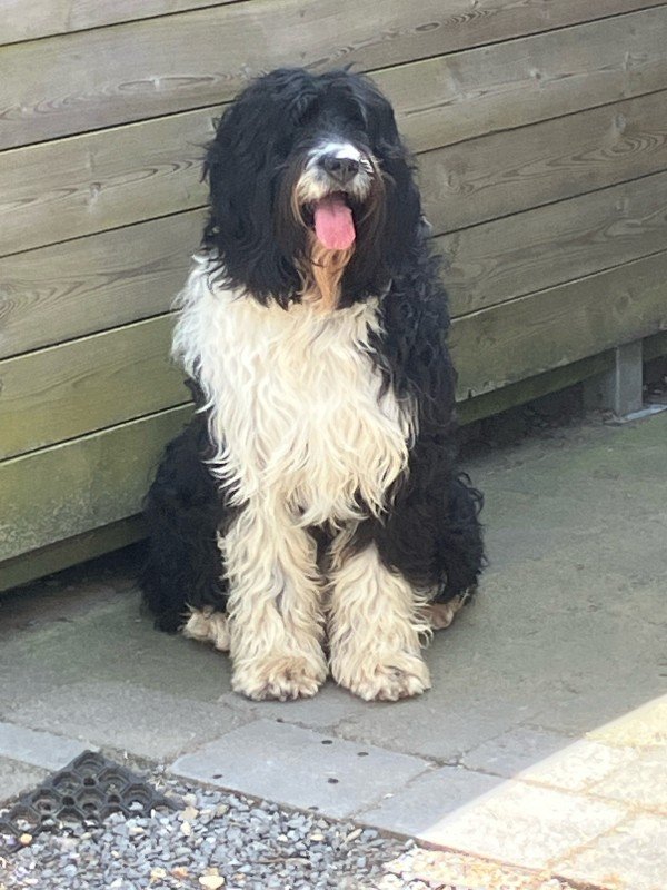 Coco