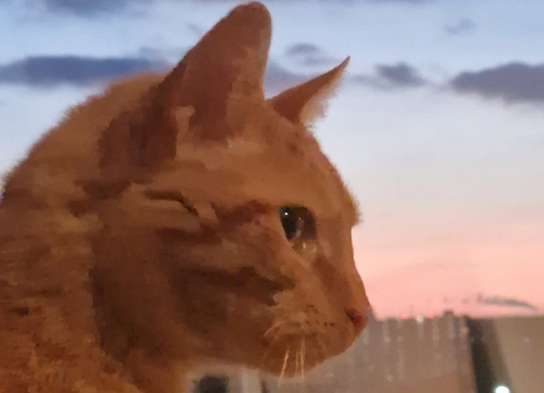 Kipcorn