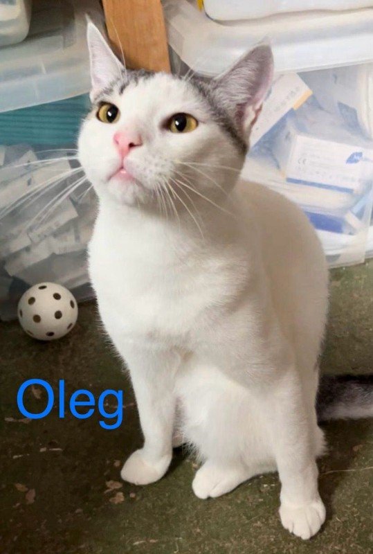 Oleg