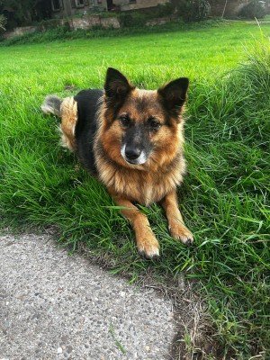 Fiona