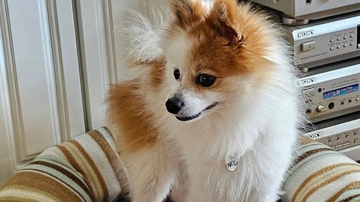 Binky