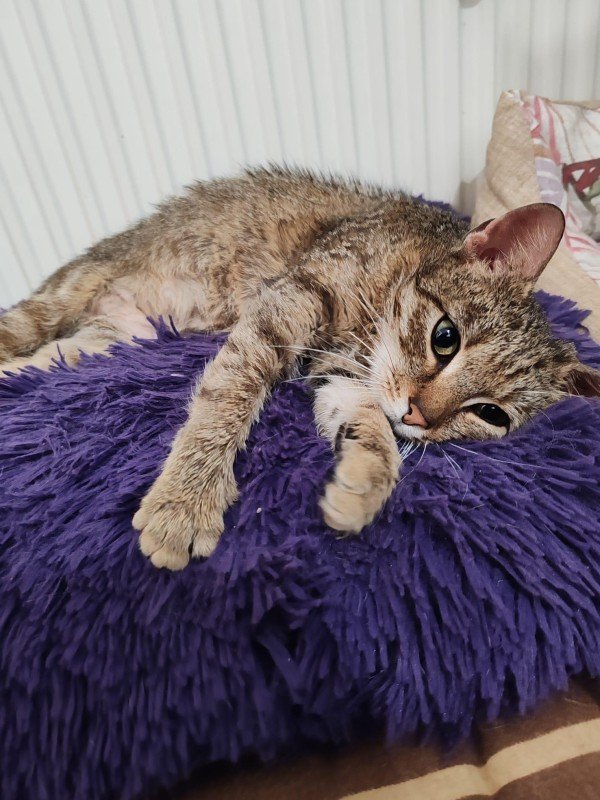 Freya
