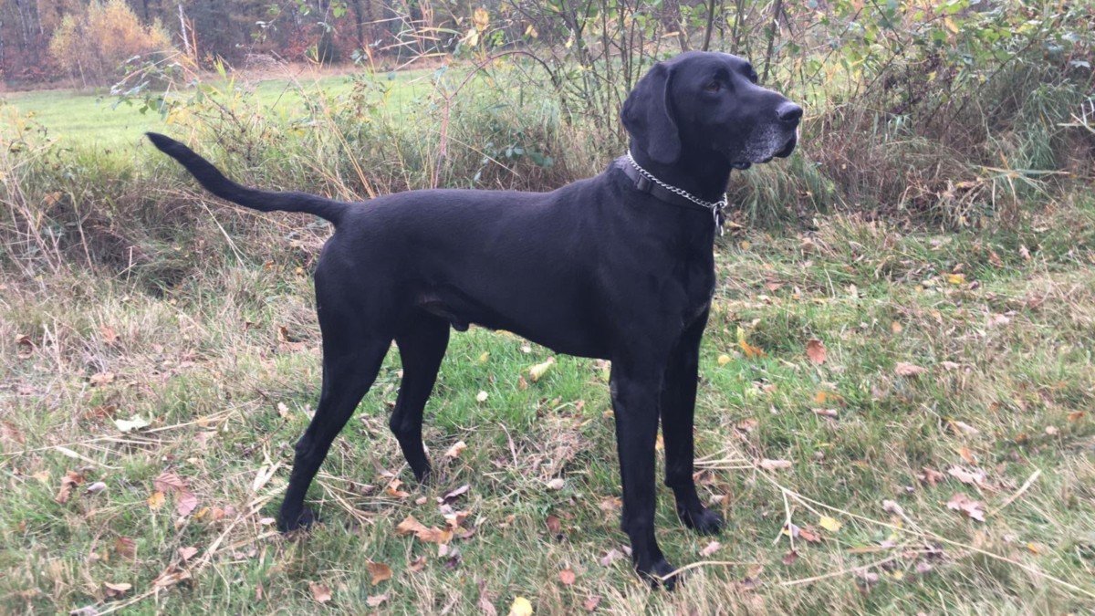Sam