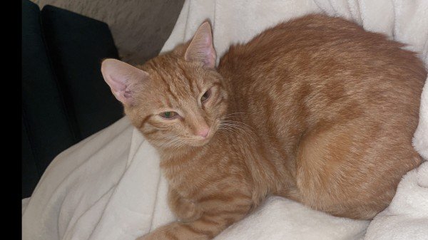 George