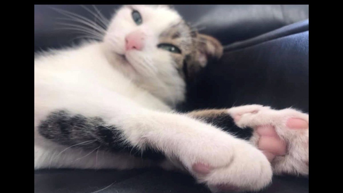 Jean Pierre